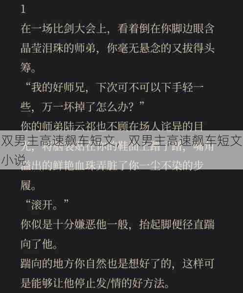 双男主高速飙车短文，双男主高速飙车短文小说  第1张