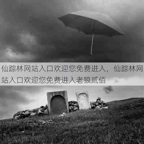 仙踪林网站入口欢迎您免费进入，仙踪林网站入口欢迎您免费进入老狼贰佰  第1张