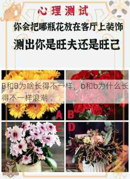 B和B为啥长得不一样，b和b为什么长得不一样浪潮  第1张