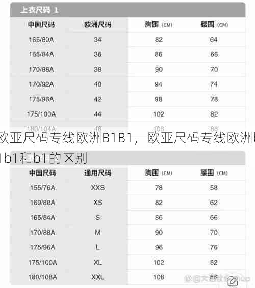 欧亚尺码专线欧洲B1B1，欧亚尺码专线欧洲b1b1和b1的区别  第1张