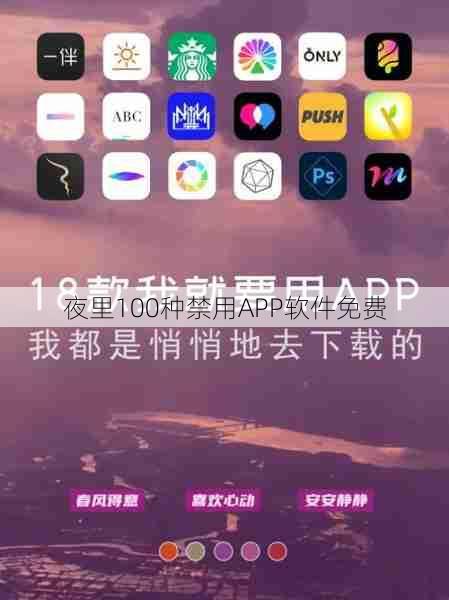 夜里100种禁用APP软件免费  第1张