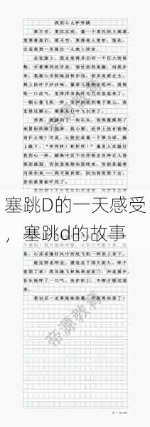 塞跳D的一天感受，塞跳d的故事  第1张