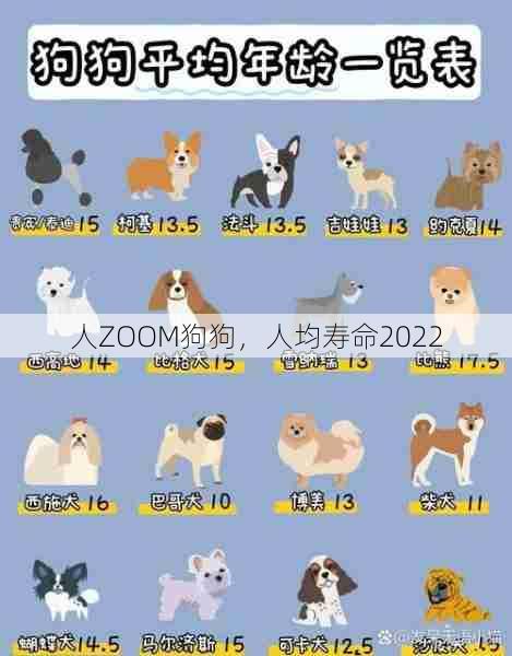 人ZOOM狗狗，人均寿命2022  第1张