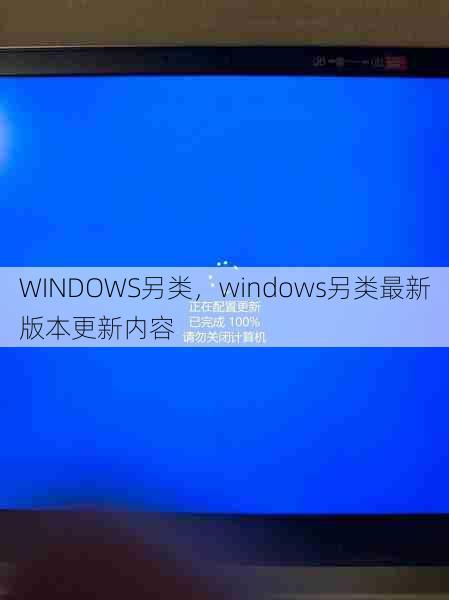 WINDOWS另类，windows另类最新版本更新内容  第1张