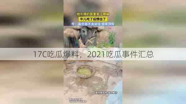 17C吃瓜爆料，2021吃瓜事件汇总  第1张