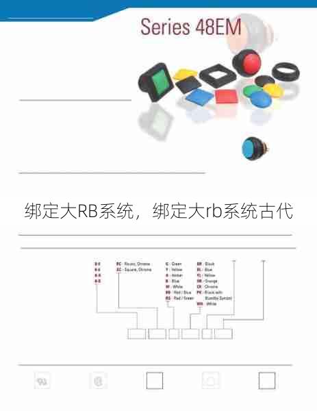 绑定大RB系统，绑定大rb系统古代  第1张