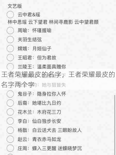 王者荣耀最皮的名字，王者荣耀最皮的名字两个字  第1张