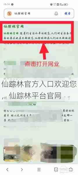 仙踪林官方入口欢迎您，仙踪林平台官网  第1张