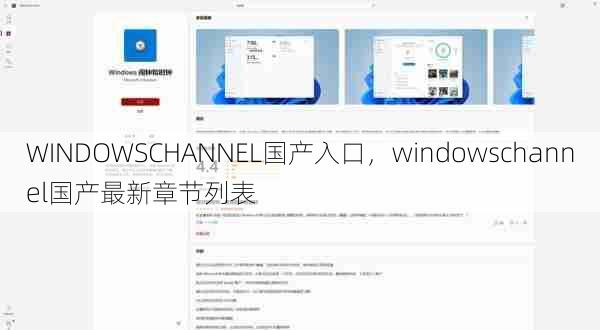 WINDOWSCHANNEL国产入口，windowschannel国产最新章节列表  第1张