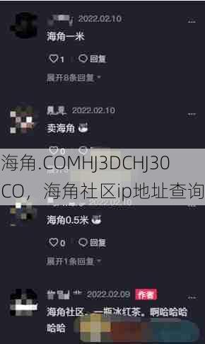 海角.COMHJ3DCHJ30CO，海角社区ip地址查询  第1张