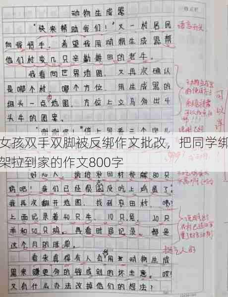 女孩双手双脚被反绑作文批改，把同学绑架拉到家的作文800字  第1张