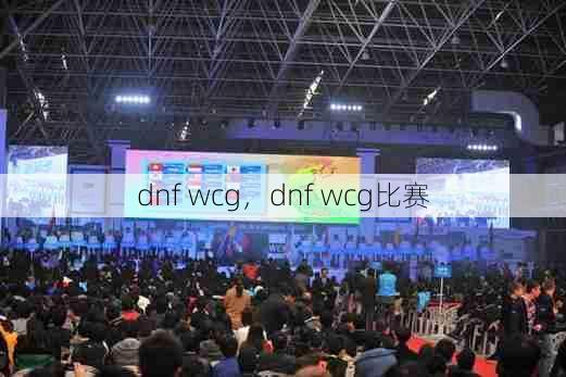 dnf wcg，dnf wcg比赛  第1张