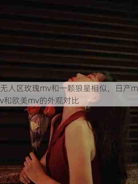 无人区玫瑰mv和一颗狼星相似，日产mv和欧美mv的外观对比  第1张