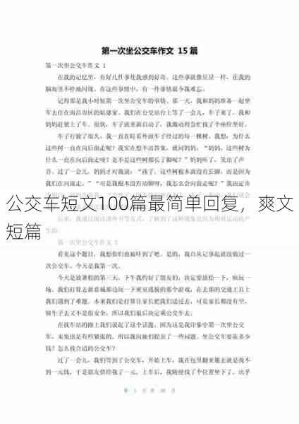 公交车短文100篇最简单回复，爽文短篇  第1张