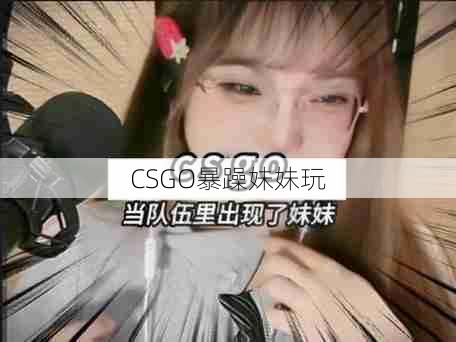 CSGO暴躁妹妹玩  第1张